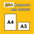 Нотоносец-Стикер Импресарио (формат А4/А5) 1706